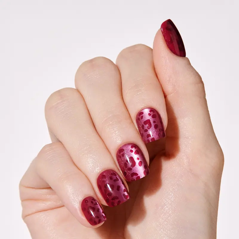 Impress Fall No Glue Press on Nail Collection